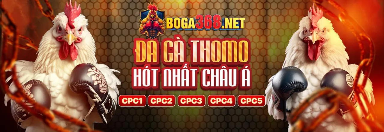 Đá gà trực tuyến Winmax1 với không khí sôi động