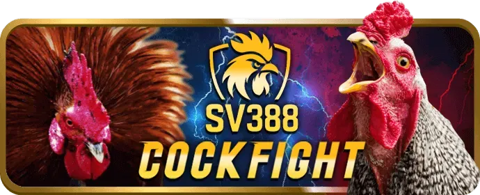 Chương trình VIP và phần thưởng độc quyền